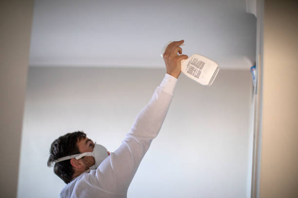Best Affordable Mold Removal  in Green Valley, CA
