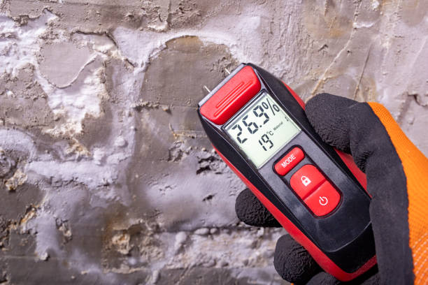 Best Local Mold Removal Service  in Green Valley, CA