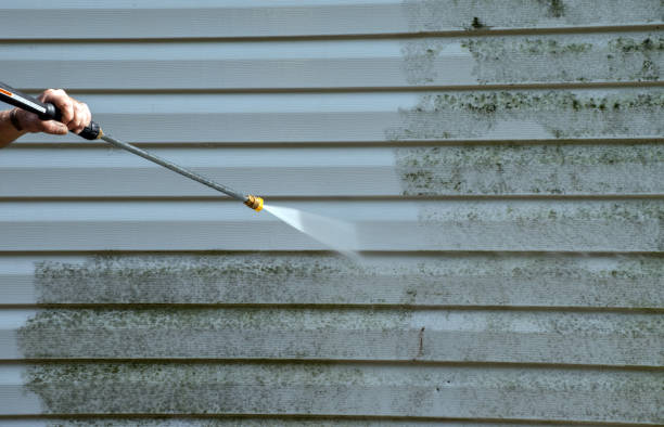 Best Black Mold Removal  in Green Valley, CA